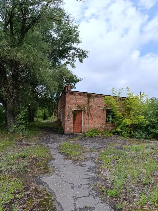 Лот 4028841