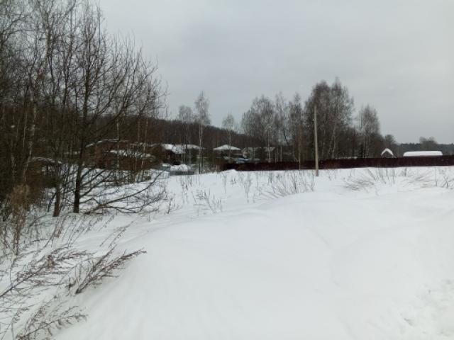 Лот 4029598