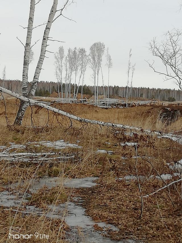 Лот 4030605