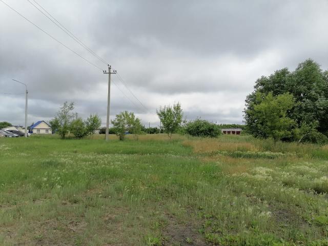 Лот 4031029
