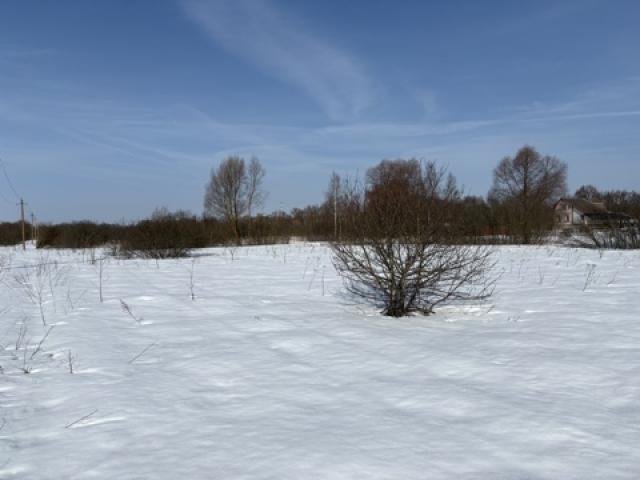 Лот 4031809