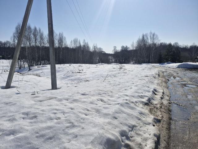 Лот 4031835