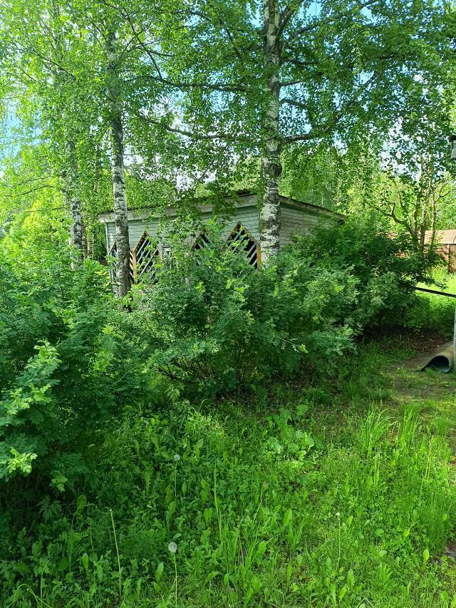 Лот 4033462
