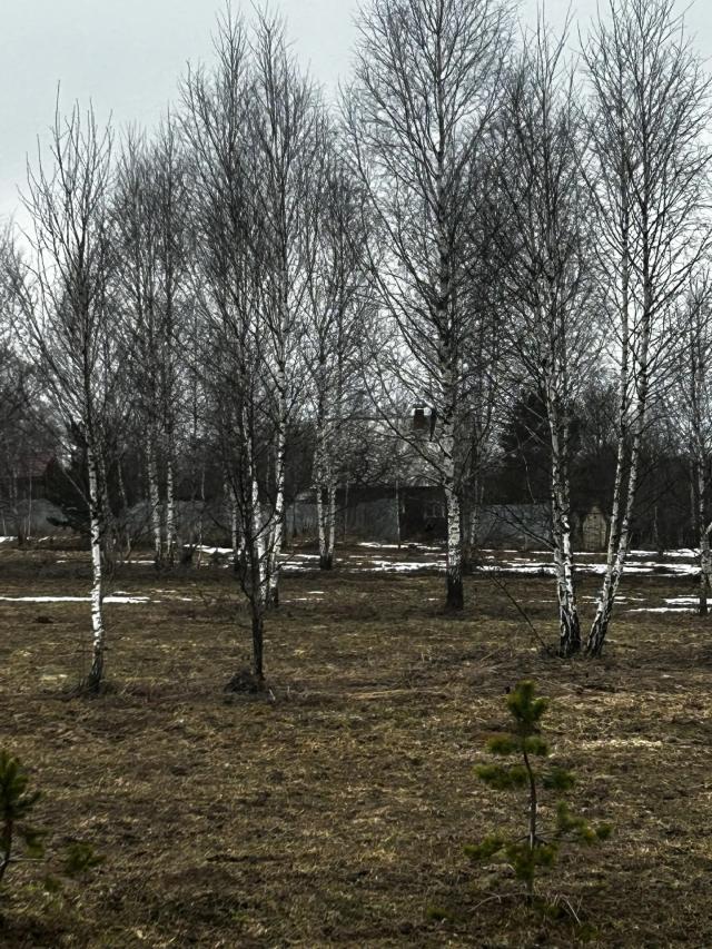 Лот 4034488
