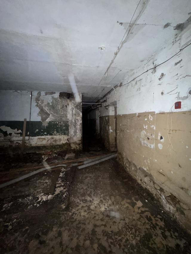 Лот 4035427