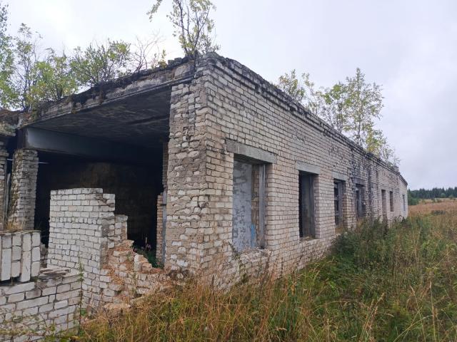Лот 4035679