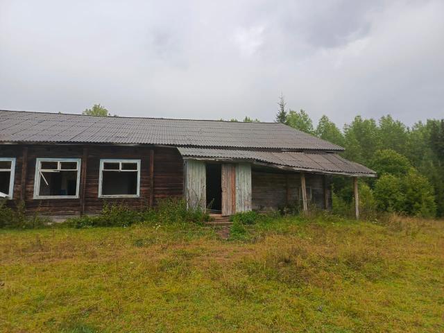 Лот 4035680