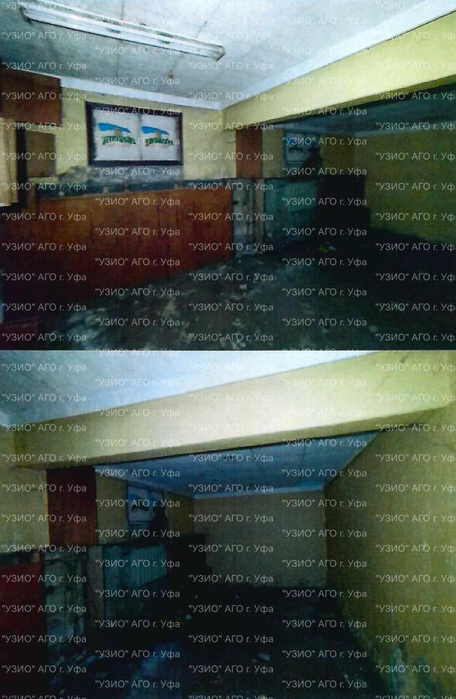Лот 4035777