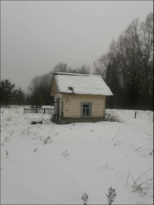 Лот 4035816